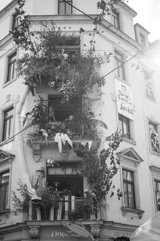 Mirabelle - Wohnen In Der Dresdner Neustadt Dresden Bagian luar foto